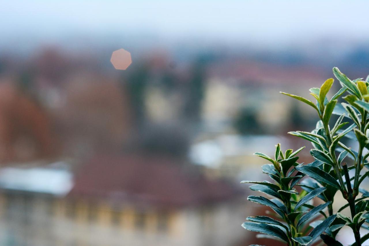 Sunny Side I Turin Suite Ngoại thất bức ảnh